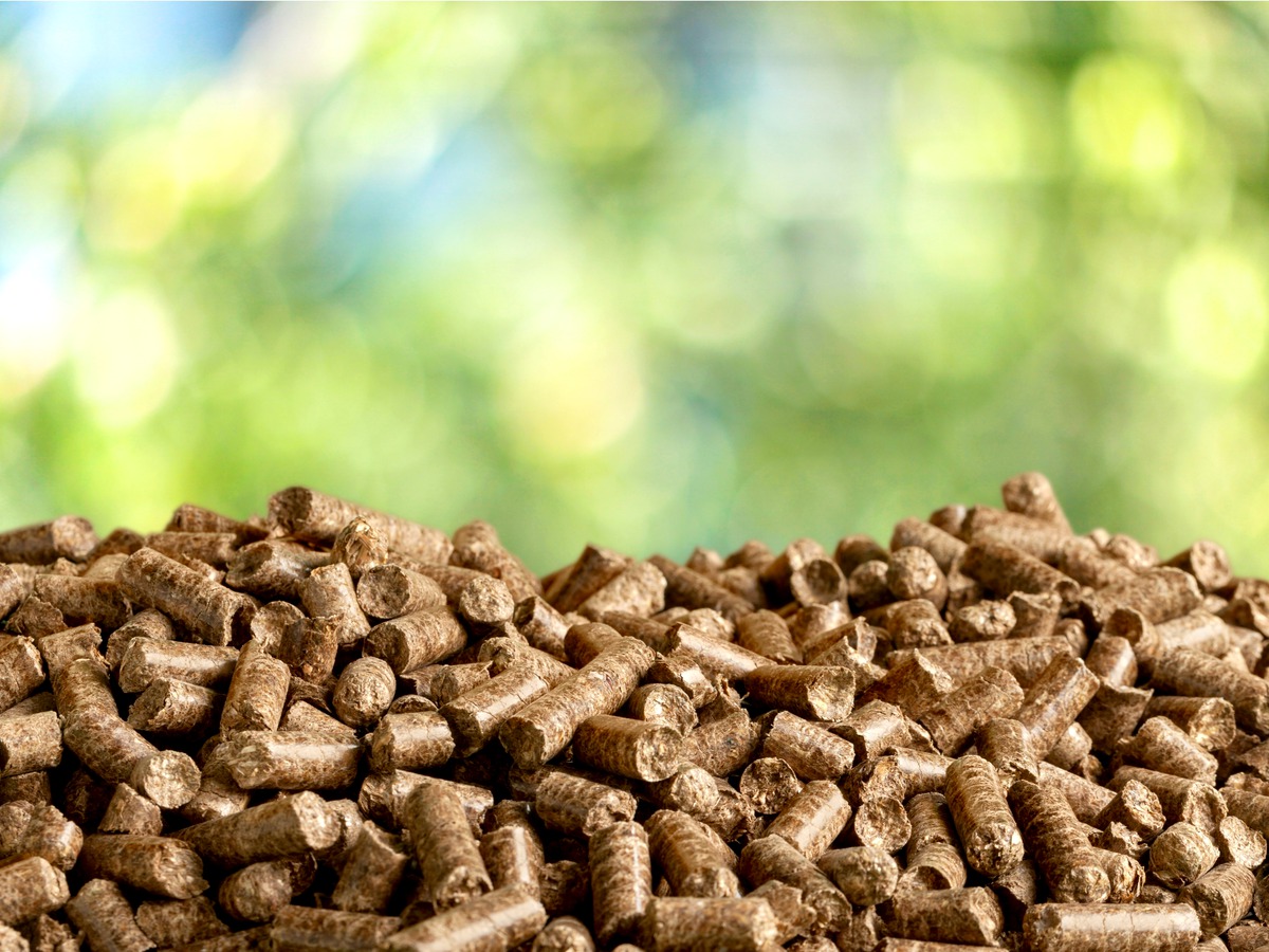 Qairo Fuels biomass plant