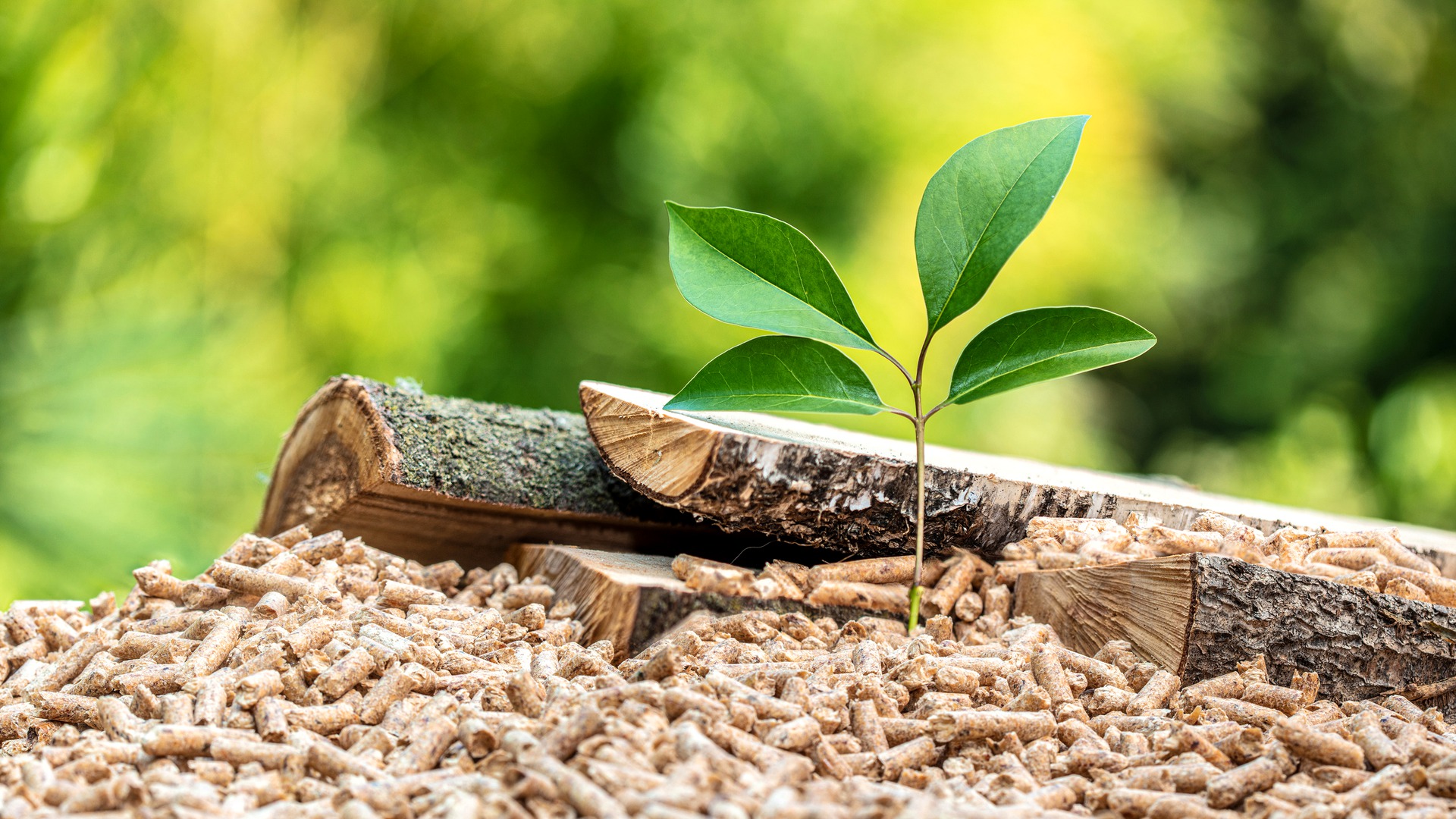 Agricultural residue — source of biomass fuel