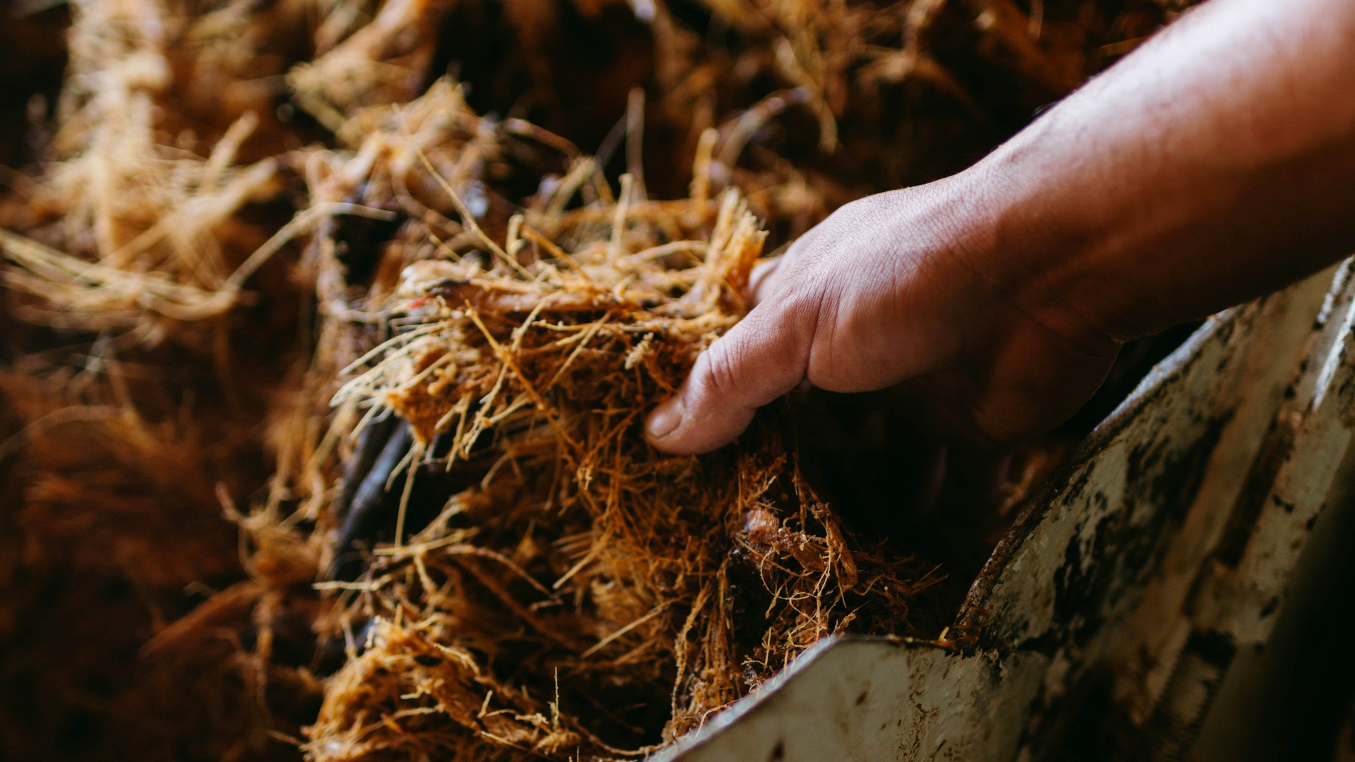 Industrial biomass processing facility