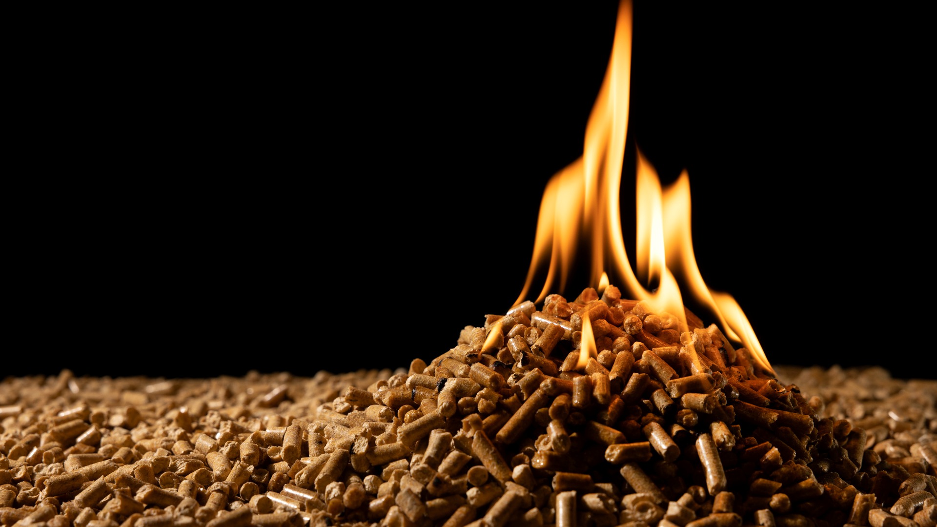 Biomass pellets and briquettes