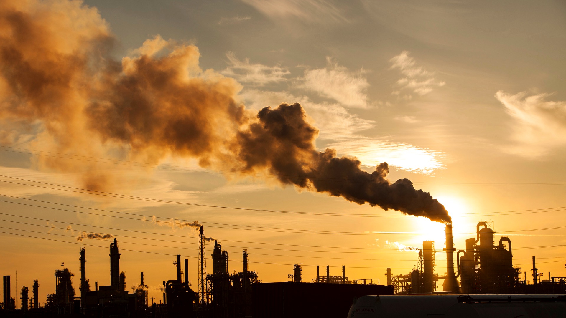 Industrial energy from biomass fuel
