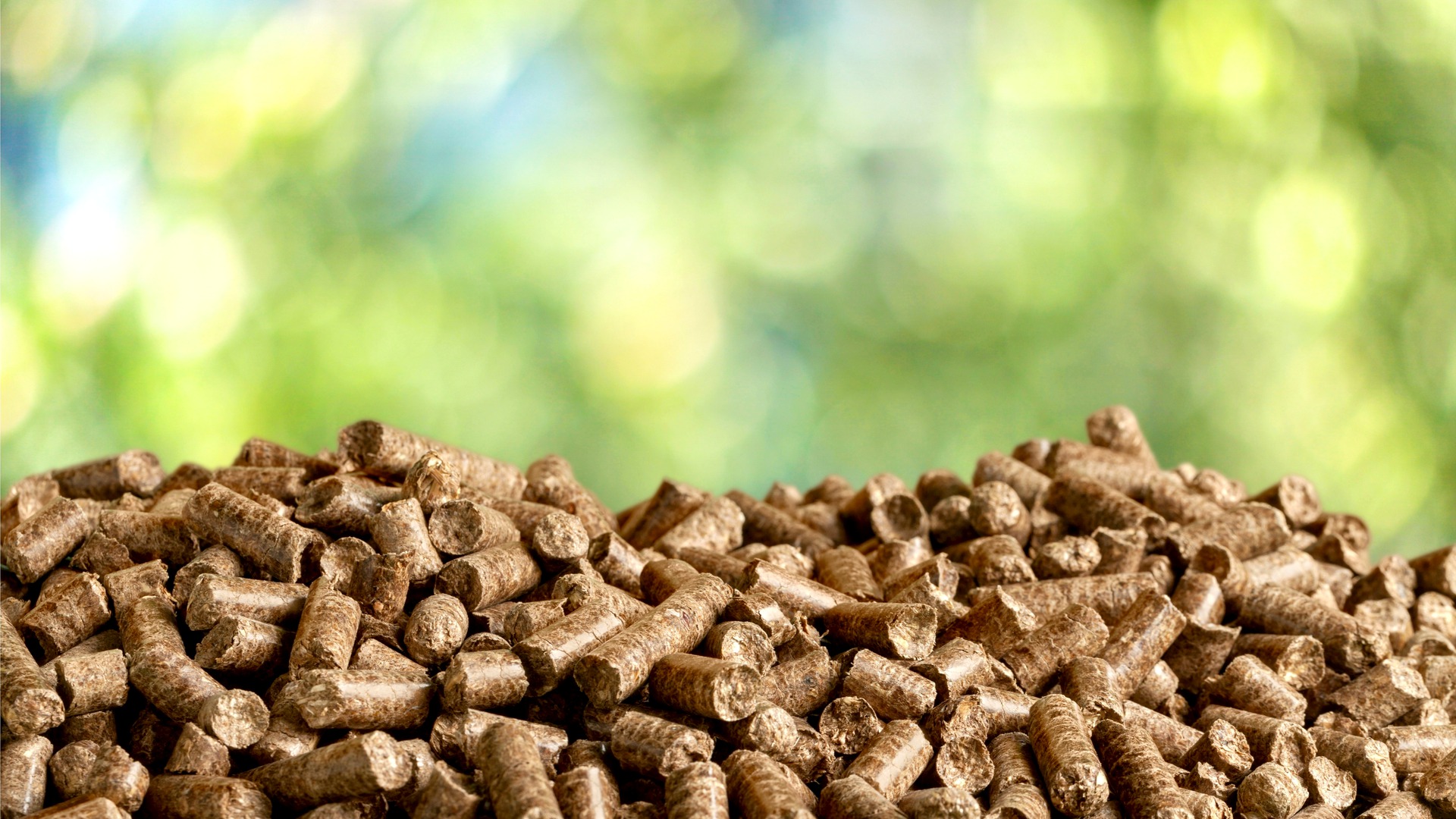Qairo Fuels — cleaner industrial future